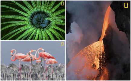 NatGeo premia las mejores fotografías de 2017