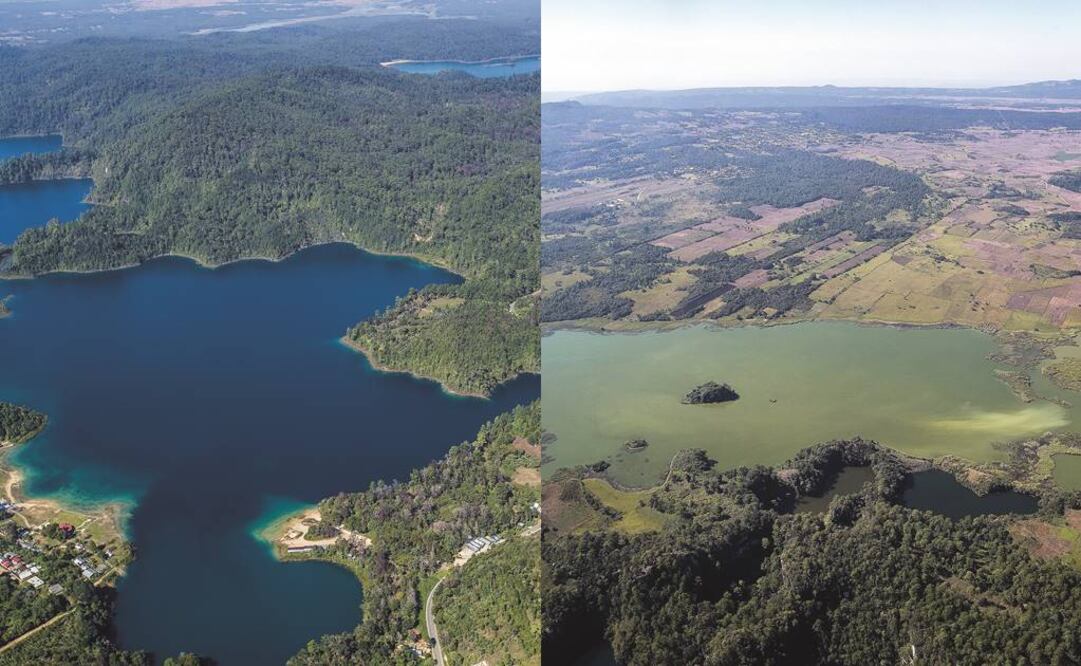 Las lagunas de Montebello en Chiapas fueron un orgullo para los mexicanos por su belleza, hoy en día viven una transformación debido al alto grado de contaminacíón de sus aguas (YADÍN XOLAPA. EL UNIVERSAL)