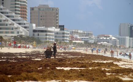 Estados Unidos nos invade con… sargazo