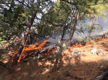Se incendia el “Cajón del Infierno” en la sierra alta de Sonora