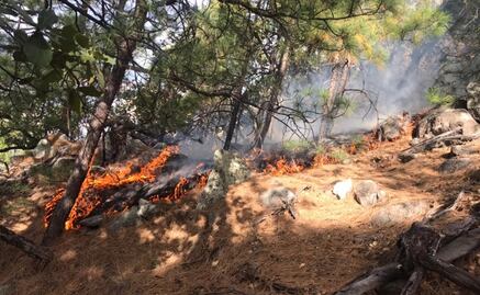 Se incendia el “Cajón del Infierno” en la sierra alta de Sonora