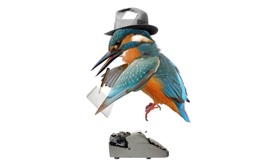 El Martín Pescador es una de las especies de aves que se encuentran en las redes sociales. (Ilustración de Javier Tascón. Tomada del libro "Aviario", de Mario Tascón)