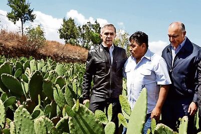 Instala CDMX planta procesadora de nopal