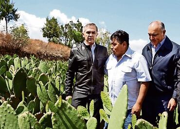 Instala CDMX planta procesadora de nopal