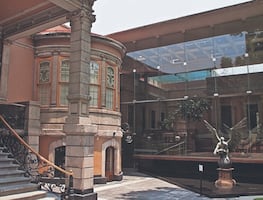 Programas de Casa Lamm serán ahora sólo virtuales