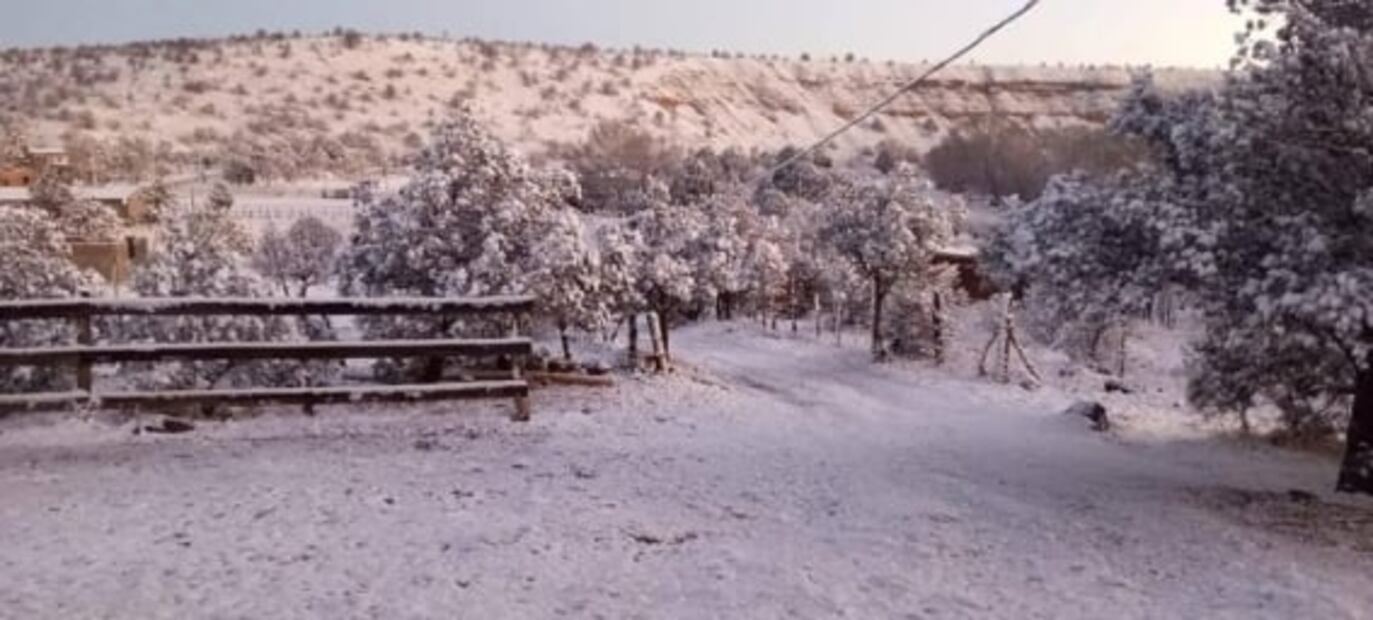 FOTOS: Cae nevada en 15 municipios de Chihuahua