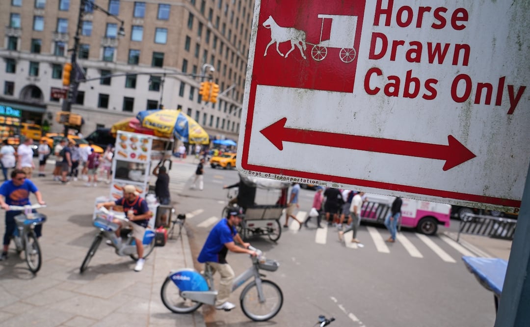 Un joven indio murió al volcarse un carruaje tirado por caballos en el que viajaba junto con su familia, en Central Park, Nueva York. Foto: AP