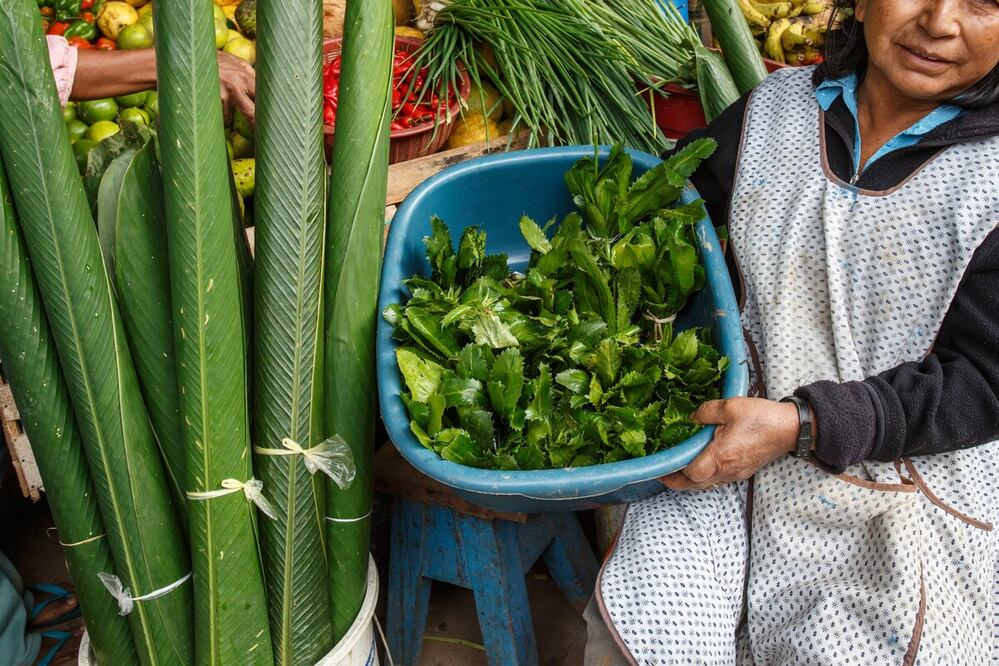 Educación nutricional es casi nula y/o limitada en México