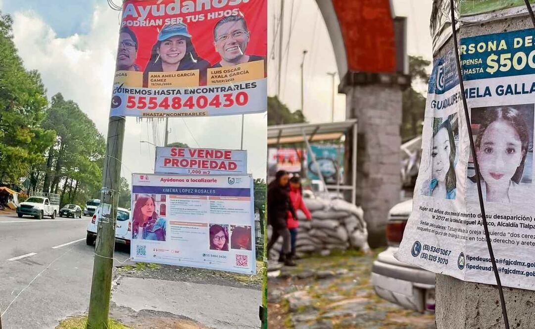 Desde los primeros metros de la carretera Picacho-Ajusco y conforme se avanza en la zona boscosa, las fichas de búsqueda abundan. Fotos: Juan Carlos Williams / EL UNIVERSAL