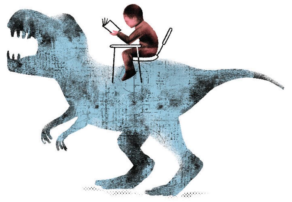 Ilustración:  Ani Cortés