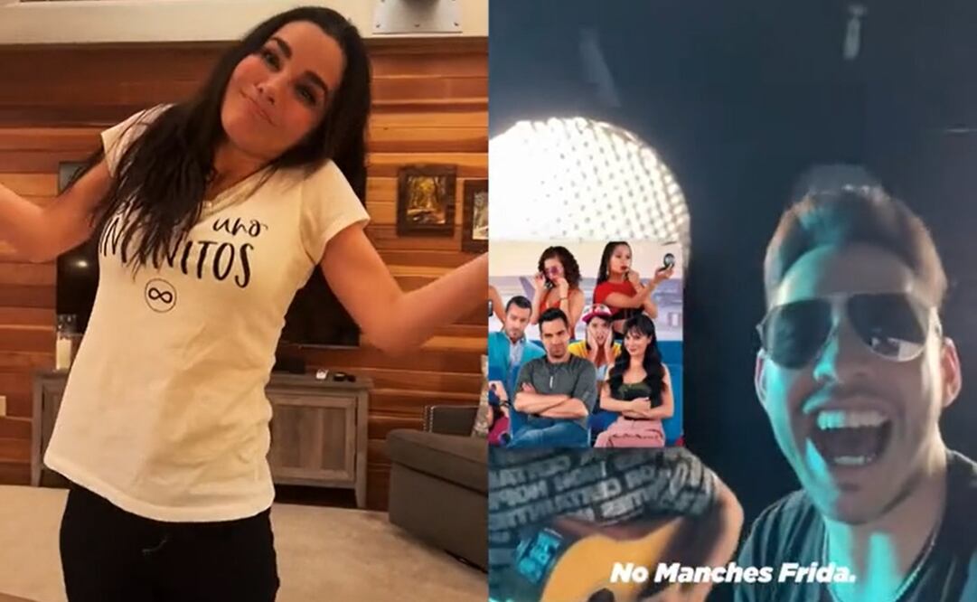Le hacen corrido a Martha Higareda en TikTok, y así reaccionó. Foto: Captura de TikTok @marthahigaredaofficial