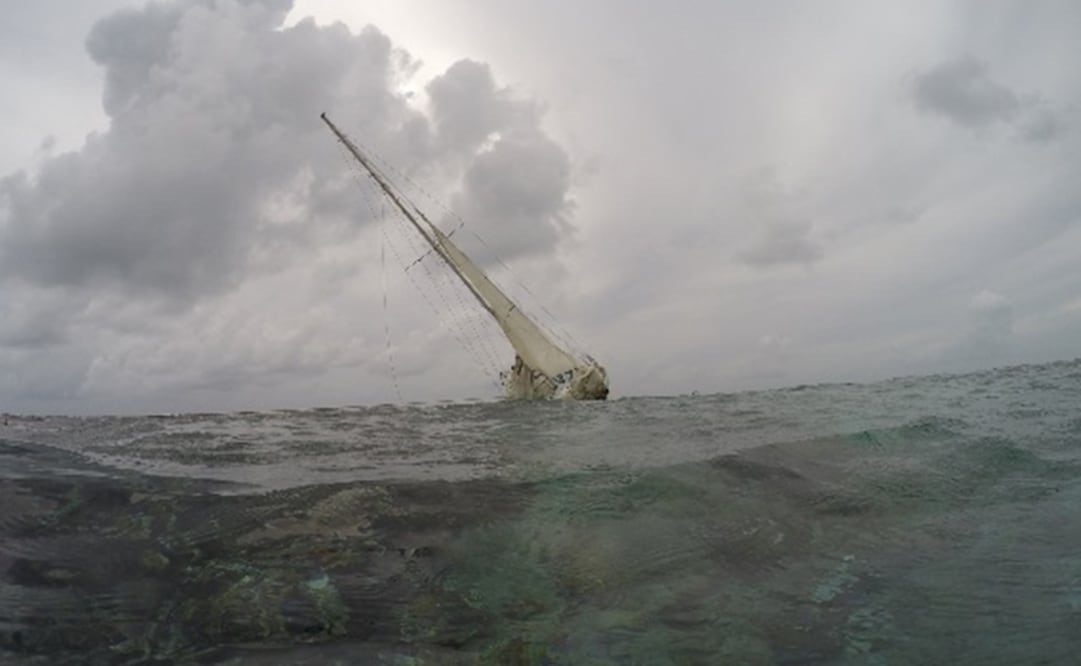 La Profepa indicó que continúa con las diligencias para determinar el total de los daños. (FOTO: cortesía de Profepa)