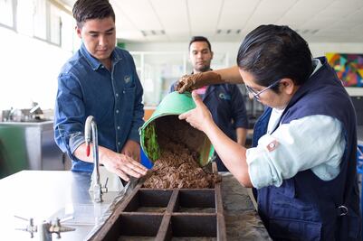 Michoacano crea ladrillos con nopal 
