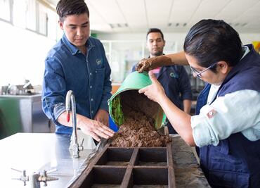 Michoacano crea ladrillos con nopal