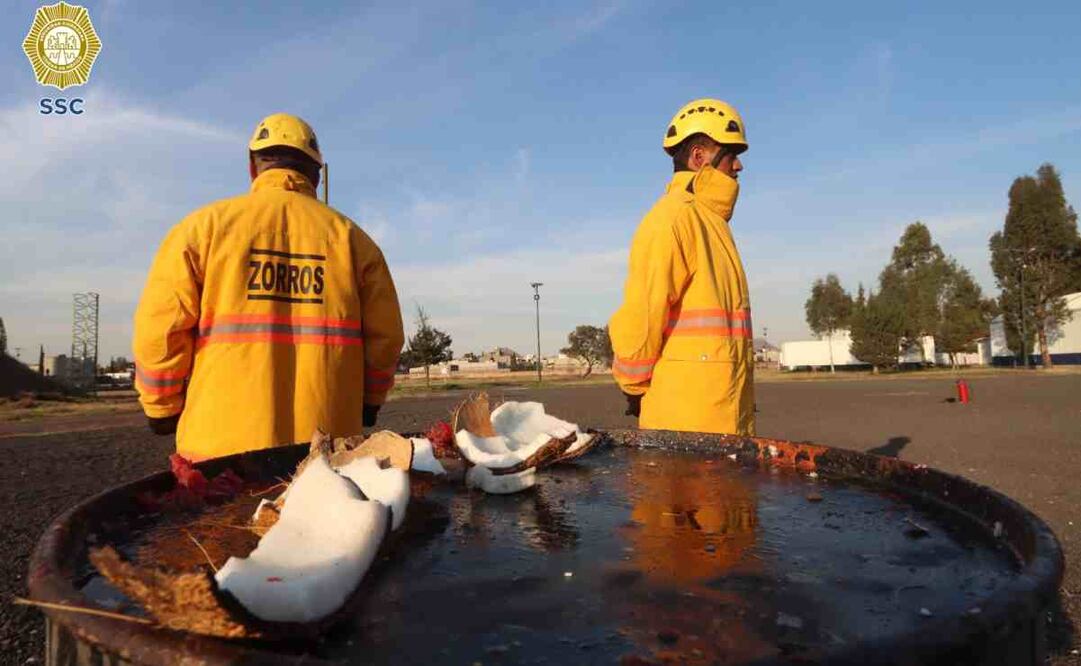Fuerza de Tarea "Zorros". Foto: Especial
