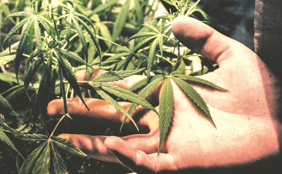 Foto: Archivo / EL UNIVERSAL