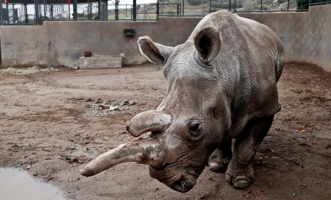 (FOTO: Archivo/EL UNIVERSAL)