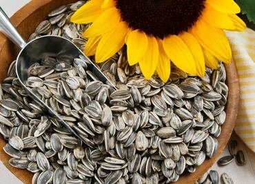 Cuáles son los nutrientes de las semillas de girasol