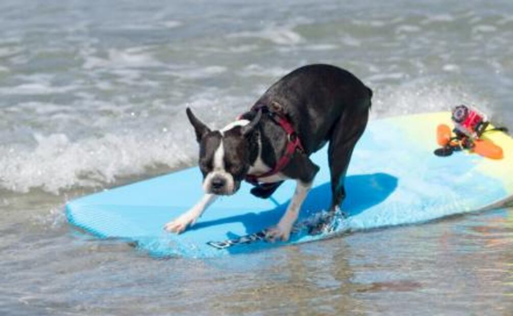 Calientacamas y cuentacuentos: servicios de hotel más exóticos del mundo