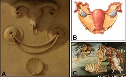 Miguel Ángel incluyó símbolos anatómicos femeninos en la Capilla Medici