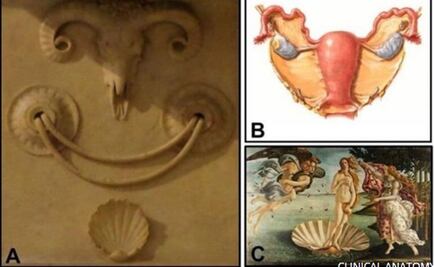 Miguel Ángel incluyó símbolos anatómicos femeninos en la Capilla Medici