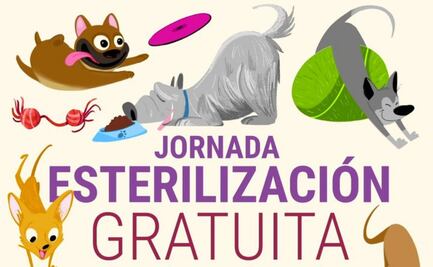 Tu mascota merece lo mejor; esterilización gratuita en CDMX este 28 de agosto, te decimos dónde