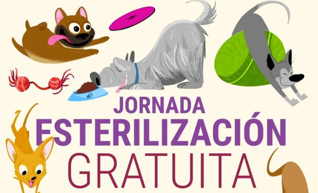 Esterilización gratuita en CDMX este 28 de agosto (24/08/2025). Foto: Especial