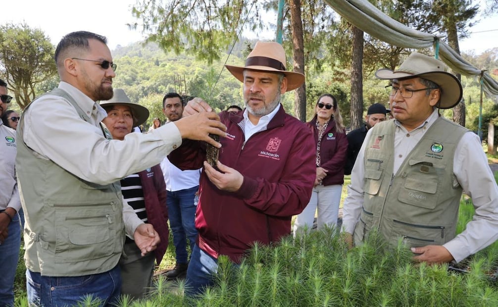 Ramírez Bedolla señaló que la campaña actual de reforestación inició el pasado 27 de junio con el objetivo de plantar 13 millones de árboles más en este año. | Foto: Especial.