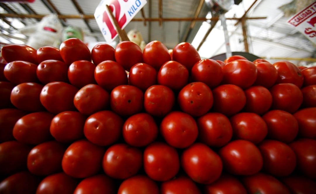 A trade war over tomatoes was averted twice since the 1990s, most recently in 2013 with the current deal to put a price floor on Mexican tomatoes sold in the U.S. - Photo: Luis Cortes/EL UNIVERSAL