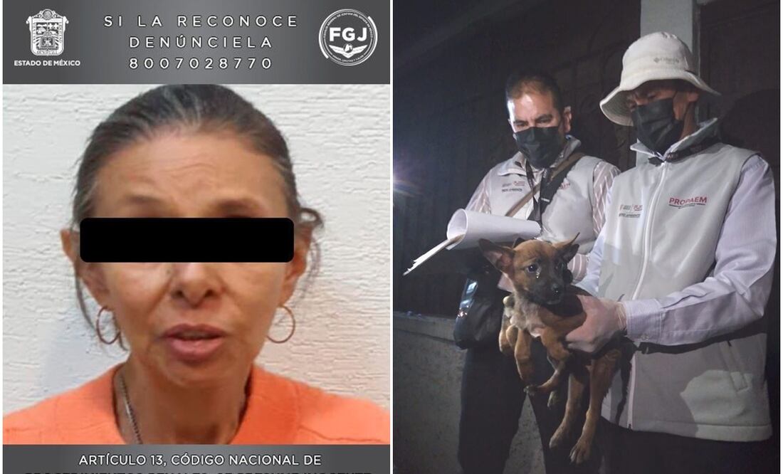 Detienen a mujer que tenía 27 perros en condiciones deplorables en Atizapán de Zaragoza. Foto: Especial