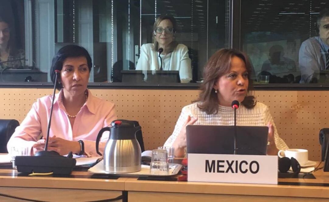 La subsecretaria para Asuntos Multilaterales y Derechos Humanos de la Cancillería, Martha Delgado (Foto: Twitter / @marthadelgado)