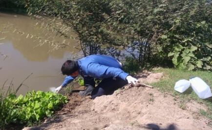 Niña cae a canal y muere ahogada en Ahome, Sinaloa