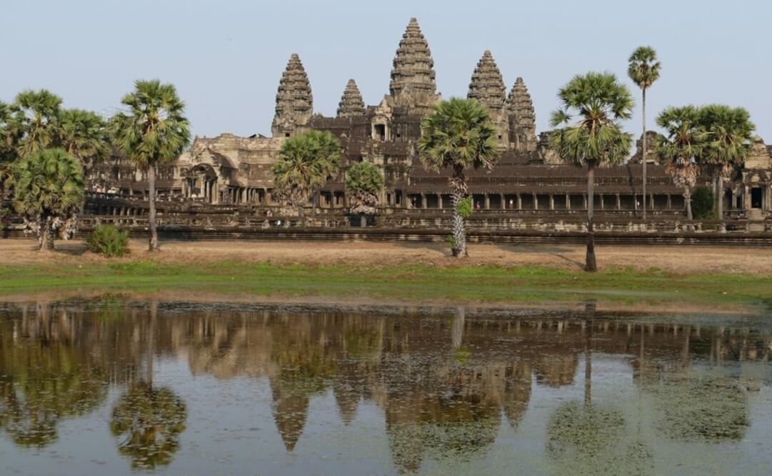 Foto: Universidad de Sydney