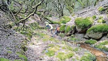 Inician revisión de derrame en manantiales