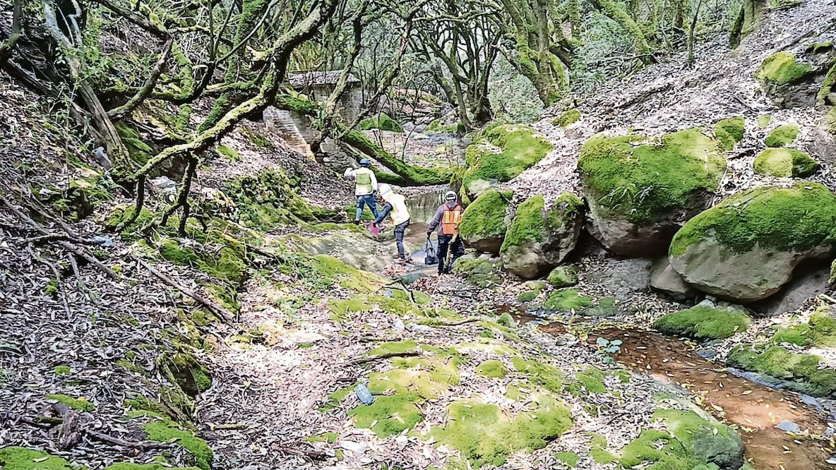 La empresa privada realizó la limitación de la zona en que cayó el hidrocarburo derramado por la pipa luego de chocar. Foto: Gisela González Granados/ EL UNIVERSAL