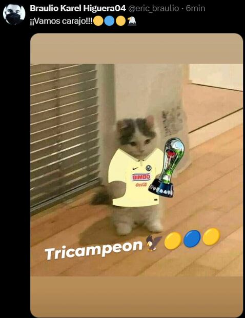 Los mejores memes del tricampeonato de América