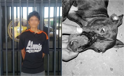 Sujeto golpea con un machete a un perro en Sonora