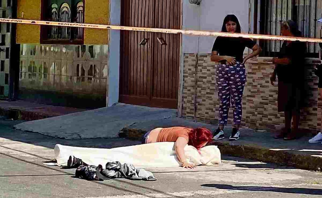 Marcela Figueroa mostró la evolución mensual del promedio diario del delito de homicidio doloso. Foto: Archivo / El Universal