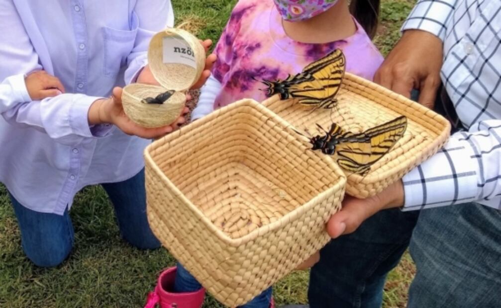 Cómo será ahora la Cumbre de Catrinas en Teotihuacán