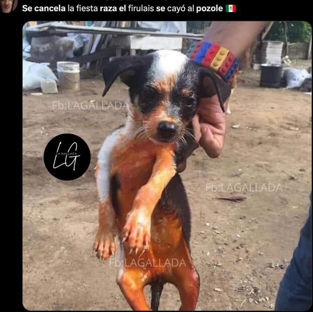 Memes 16 de septiembre. Foto: Captura de pantalla