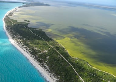 Estas son las 3 áreas naturales protegidas más grandes de México