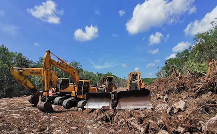 Sélvame Tren y cinco organizaciones invocan disposiciones del T-MEC para evitar obras del tramo 5 del Tren Maya