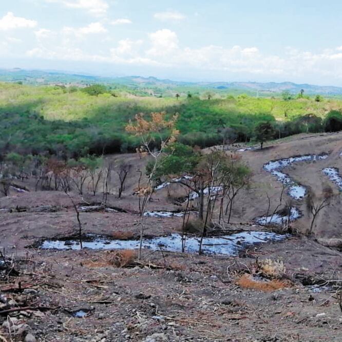 Registran afectaciones al norte del edificio de las Columnas. CORTESÍA INAH