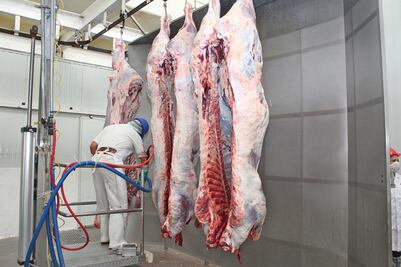 ONG urge a diputados a aprobar ley para regular mataderos