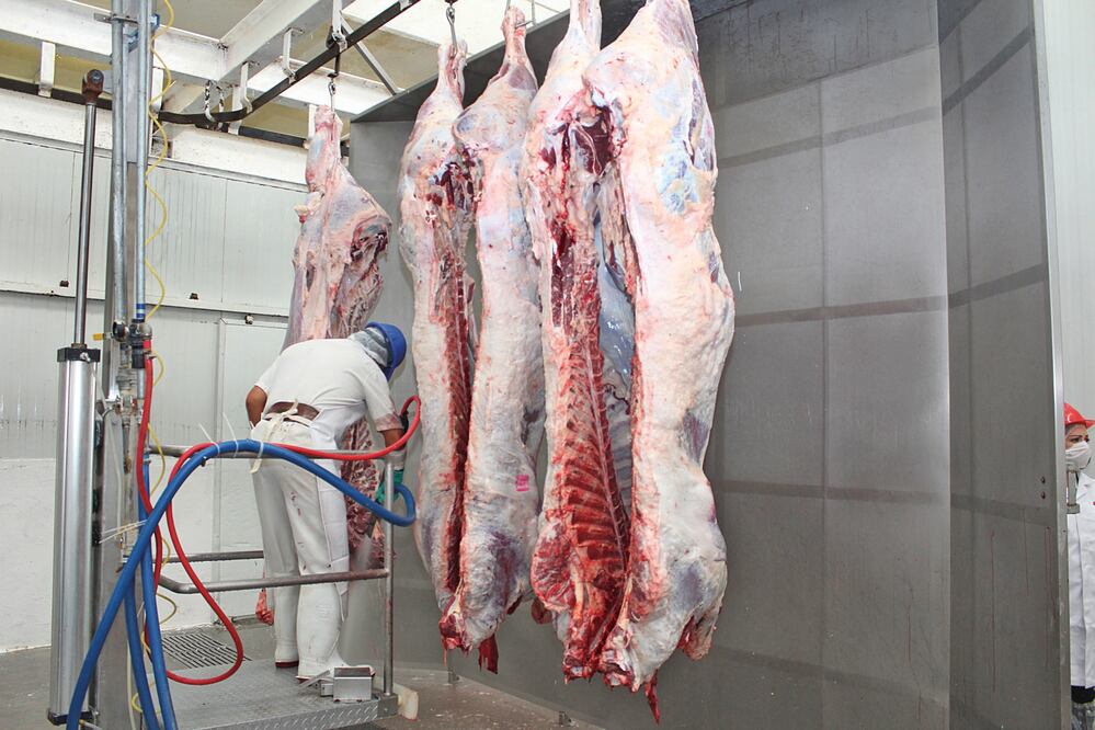 ARCHIVO HISTÓRICO/ EL UNIVERSAL