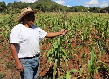 Decisión del gobierno de cerrar Financiera Rural, dejará incertidumbre en los productores: GCMA