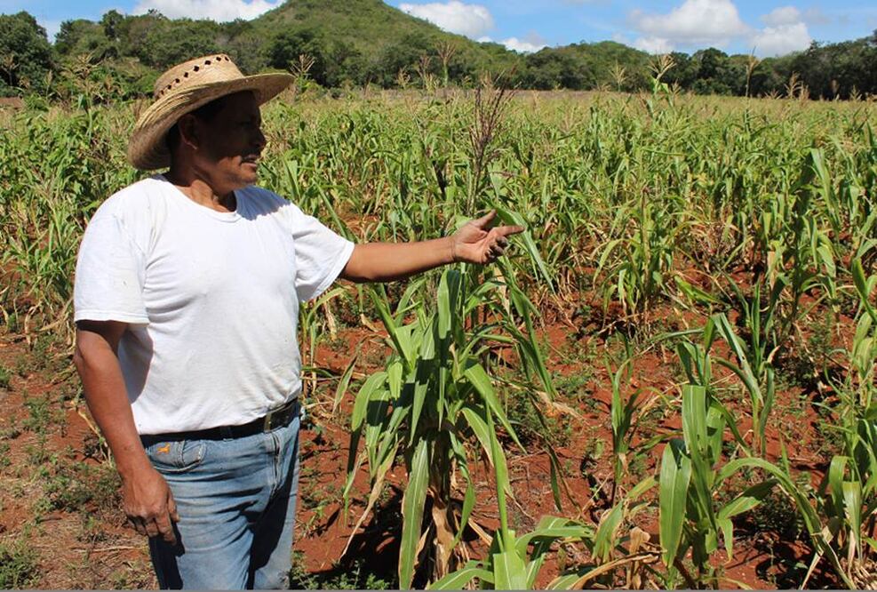 Productores. Foto: Especial