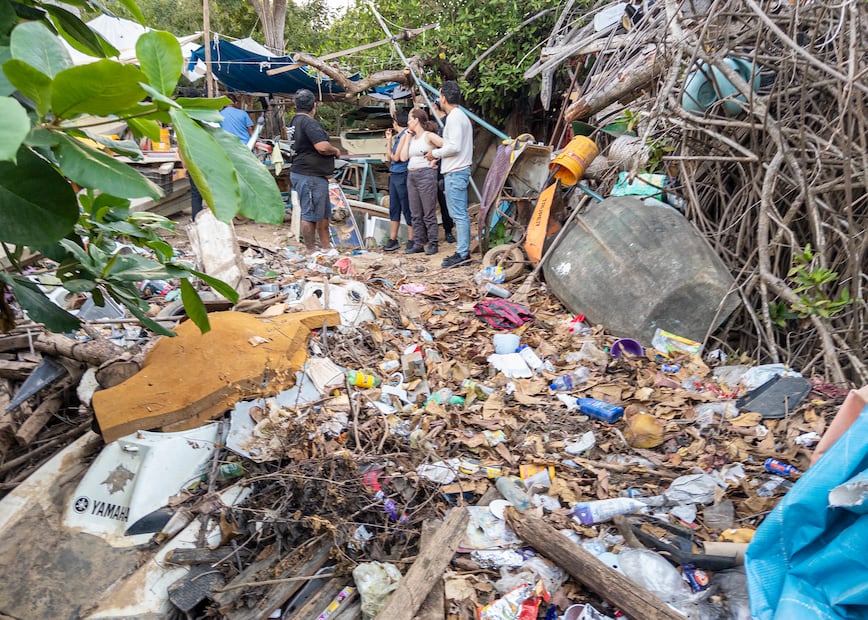 Manglares (Foto de Octavio Aburto).