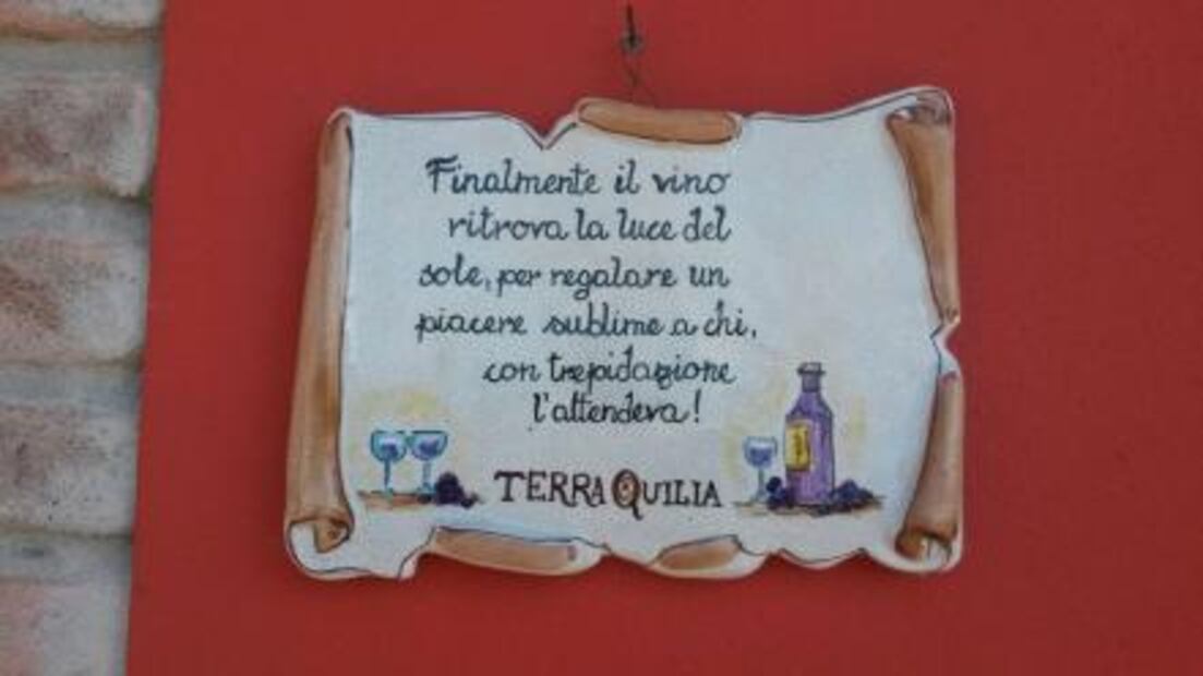 Lambrusco, el vino italiano más vendido en el mundo