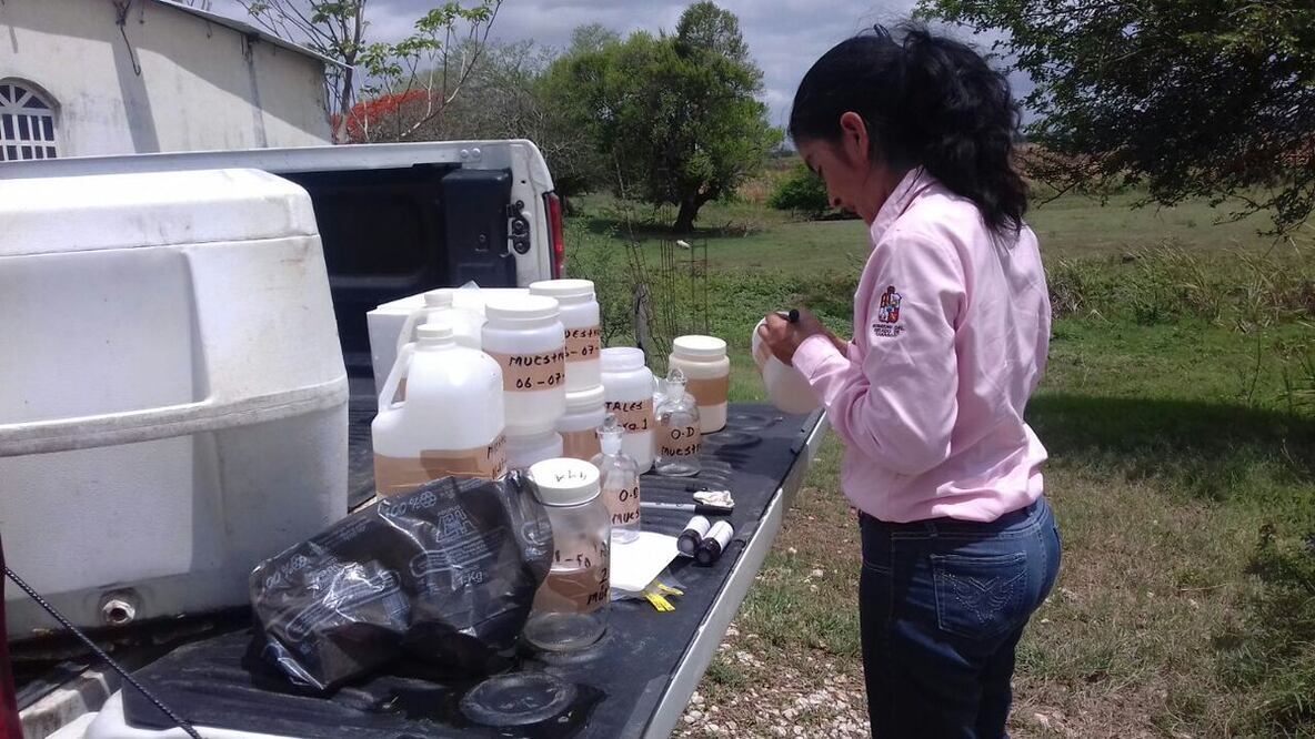 Foto: Twitter @PROFEPA_Mx